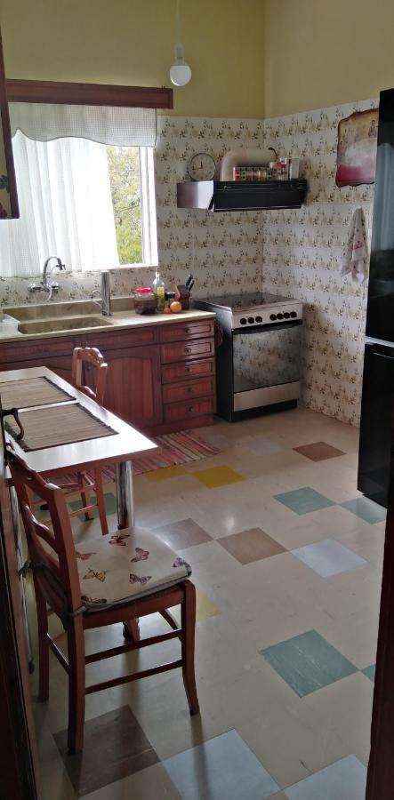 Ομορφο Διαμερισμα Με Μεγαλες Βεραντες Apartment Athens Ngoại thất bức ảnh
